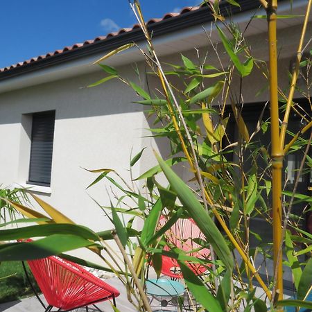 Les Jardins D'Oc - Wifi, Terrasse Et Jardinet - Appart T2 Neuf Soual 외부 사진